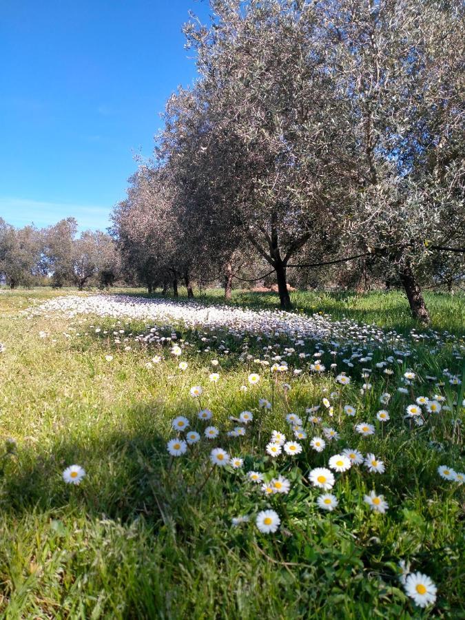 Agriturismo Lungo Albegna Manciano Dış mekan fotoğraf